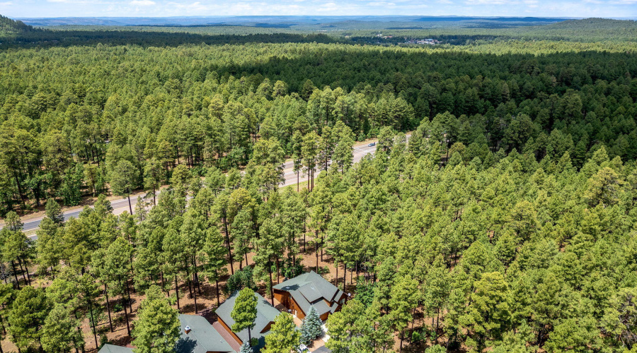 2864TimberlineRd-Pinetop-AZ-31