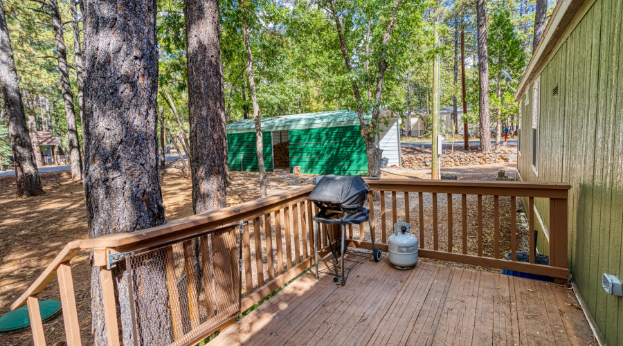 4322 Mark Twain Drive, Pinetop, AZ 85935