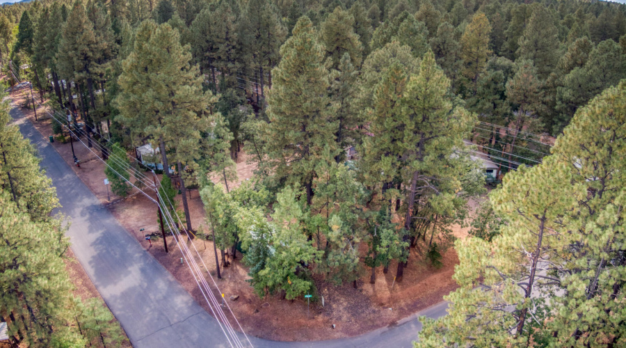 4322 Mark Twain Drive, Pinetop, AZ 85935