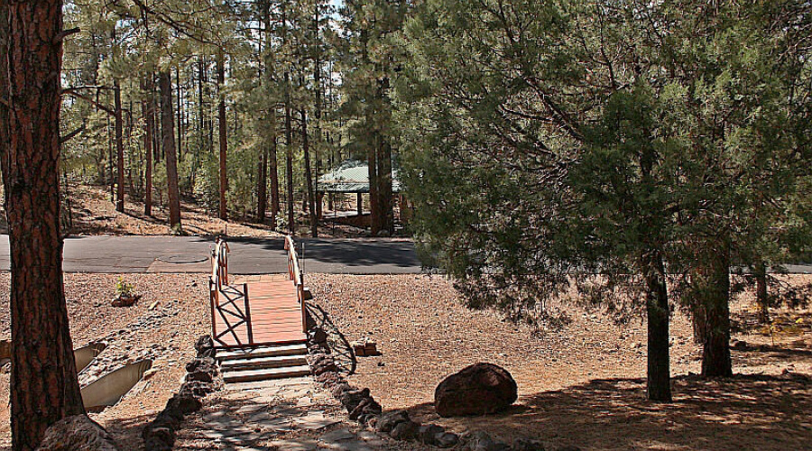 007_Foot Bridge from House