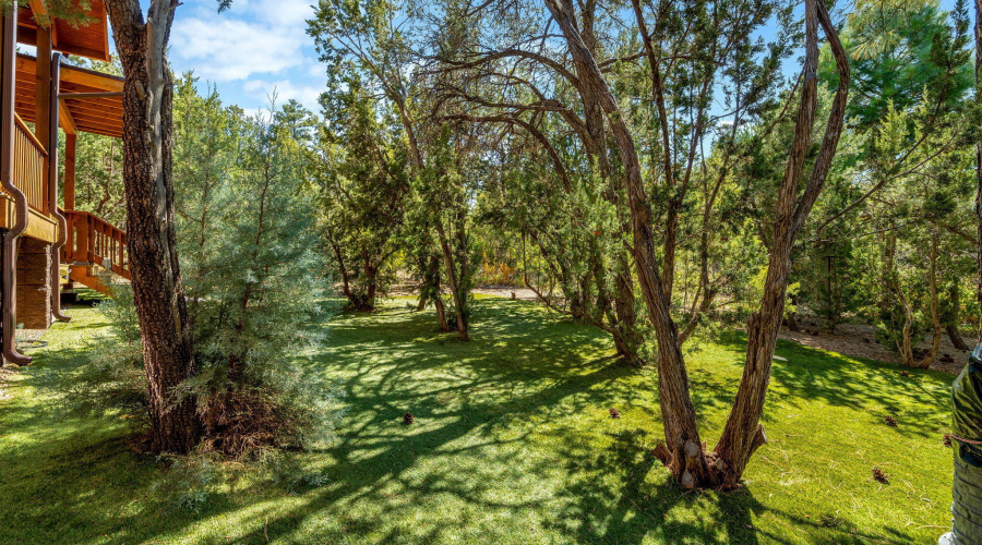 3314LodgepoleRd-HeberOvergaard-AZ-34