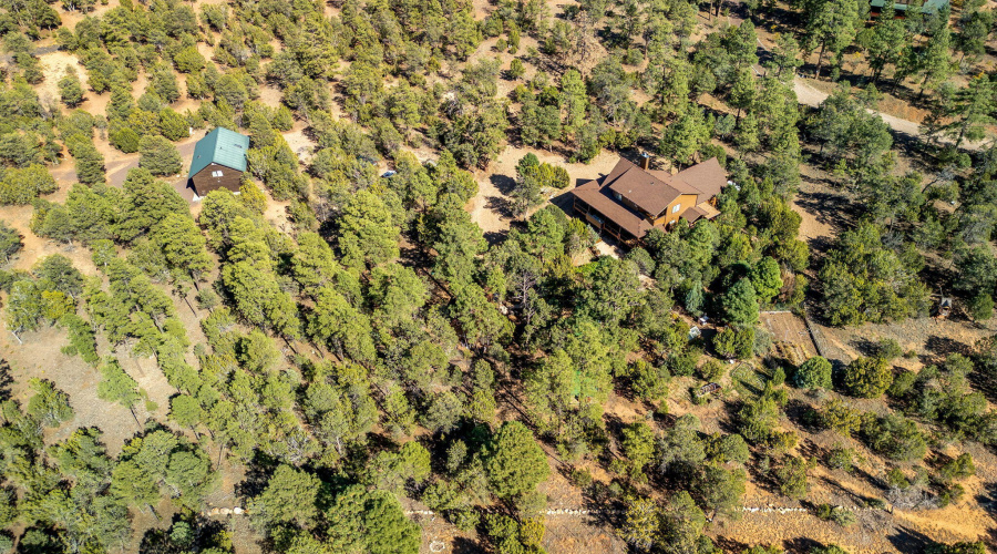 3314LodgepoleRd-HeberOvergaard-AZ-44