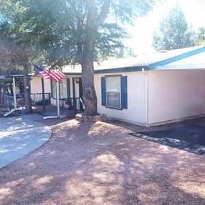 3933 E AZ Hwy 260 #273 112454