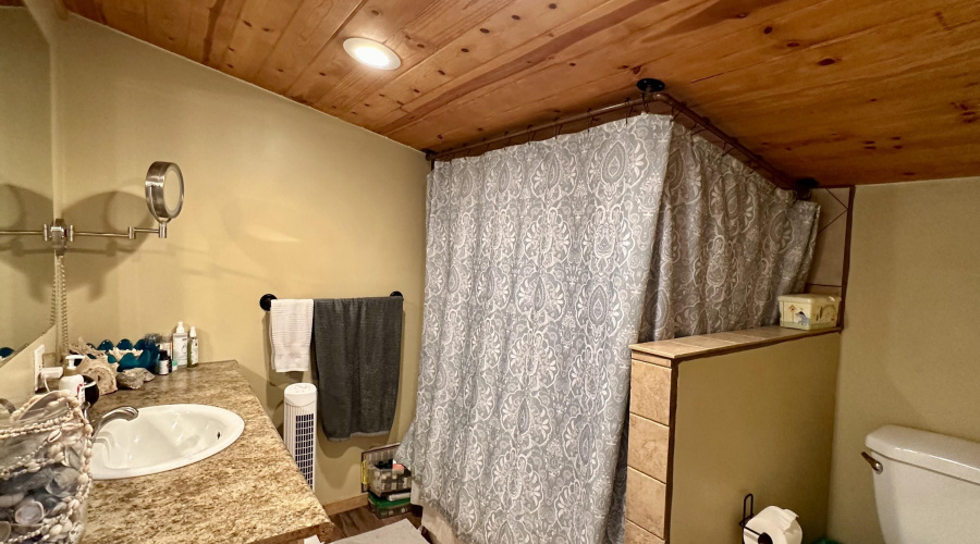 Bunk Bathroom