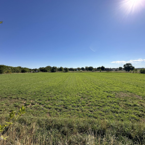 Agricultural Land