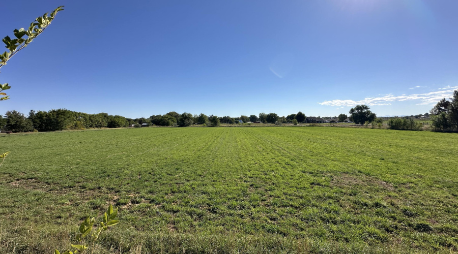 Agricultural Land