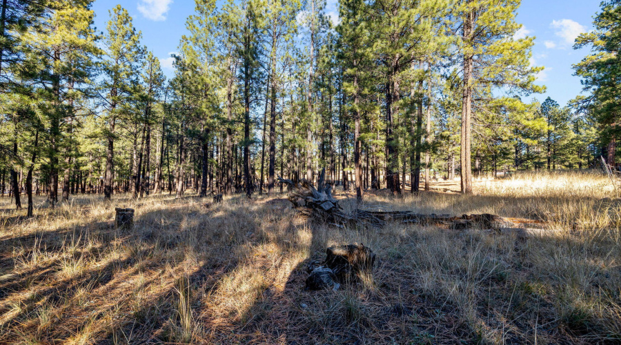 Parcel103-07-004M-Greer-AZ-1