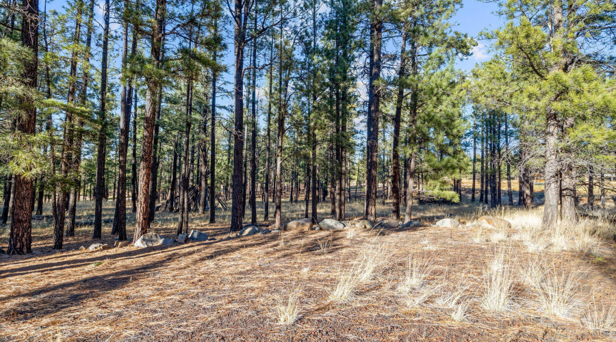 Parcel103-07-004M-Greer-AZ-2