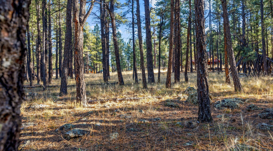 Parcel103-07-004M-Greer-AZ-5