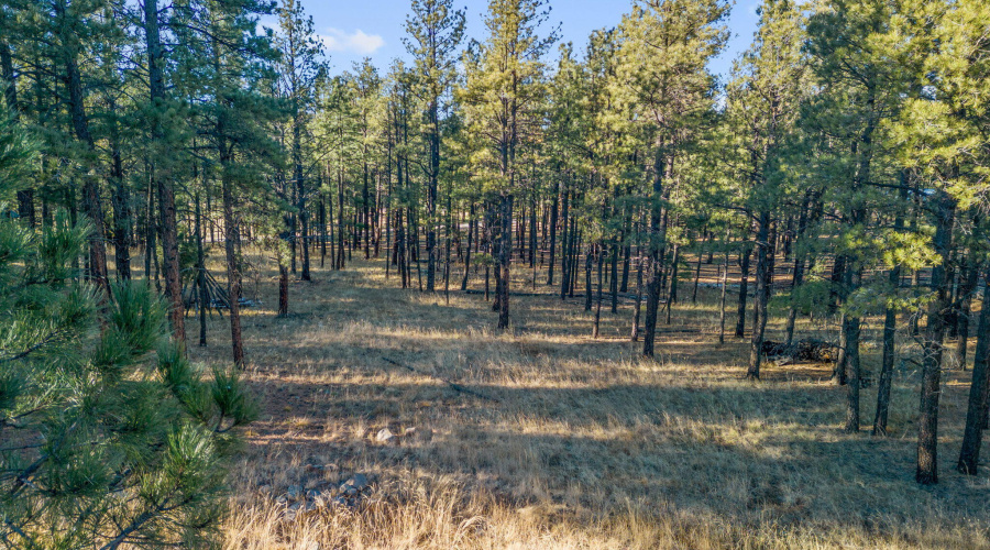 Parcel103-07-004M-Greer-AZ-18