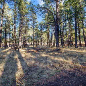 Parcel103-07-004M-Greer-AZ-6