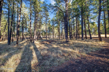 Parcel103-07-004M-Greer-AZ-6