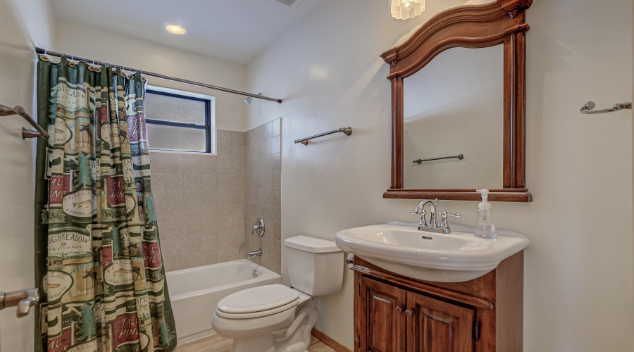 Main/guest Bathroom