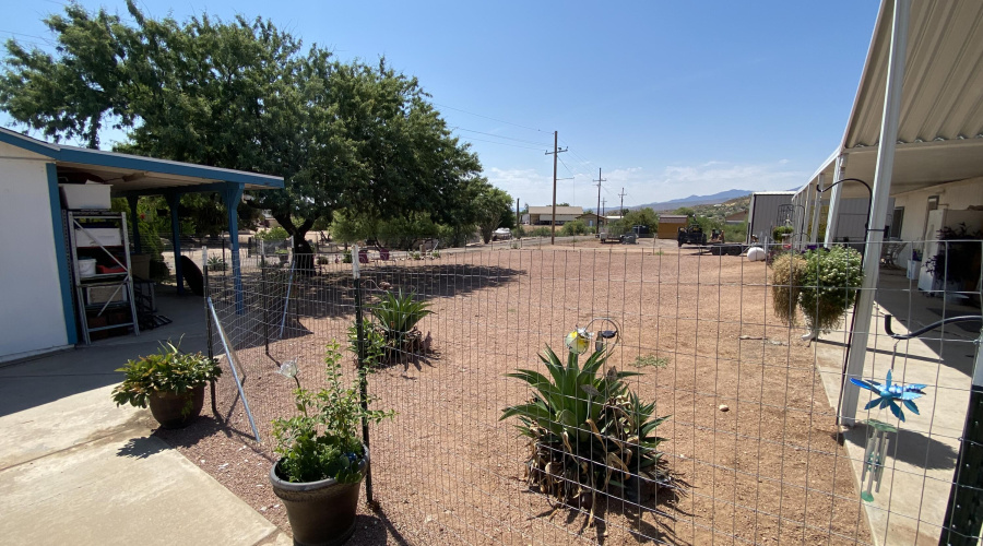 Fenced Back Yard