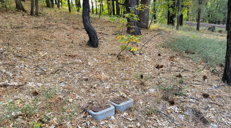 Water Service at Property