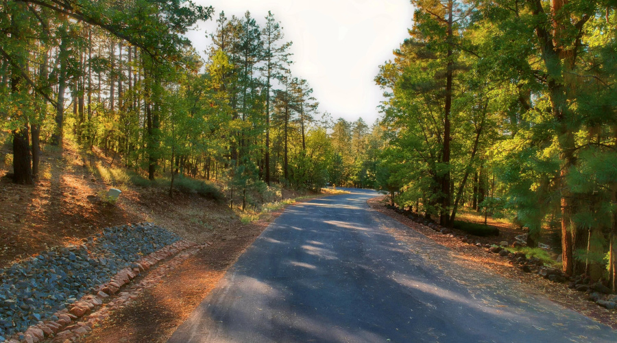 Bent Oak To Pinetree Ln - Property Left