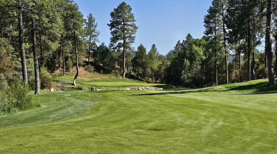 Chapparrel Pines-Golf Course3