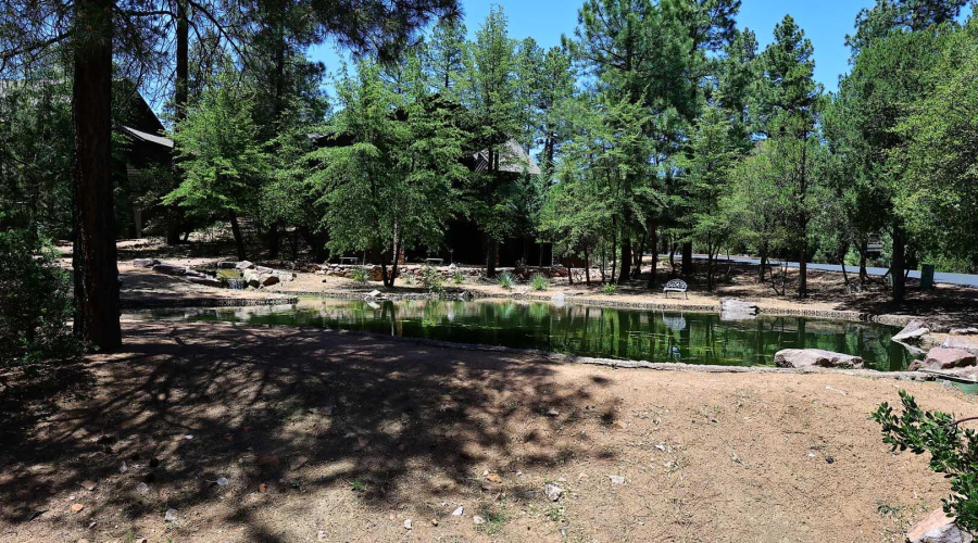 Pond behind Home