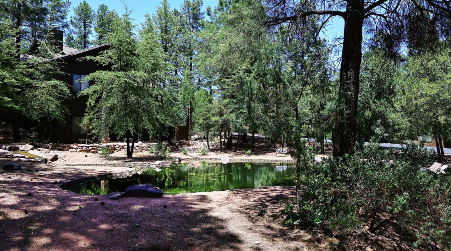 Pond behind Home2