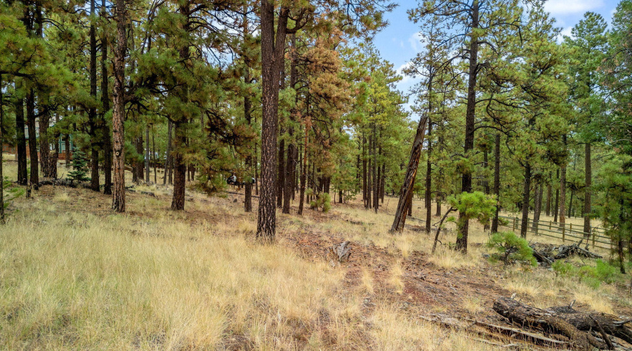 Parcel10205026-Greer-AZ-12