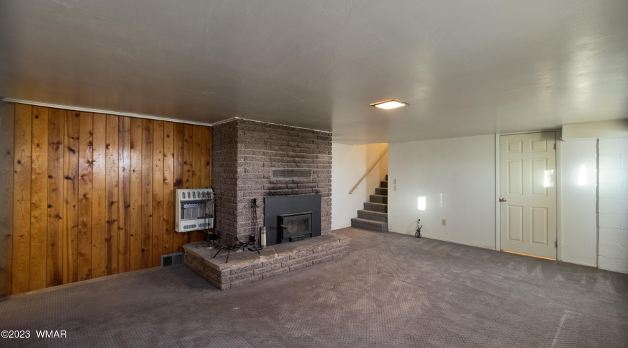 Family room in the basement