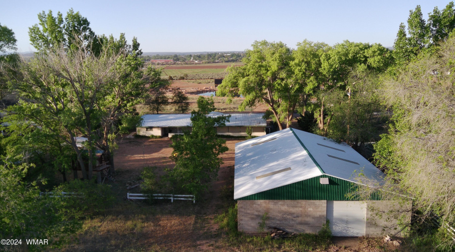 View over the back yard