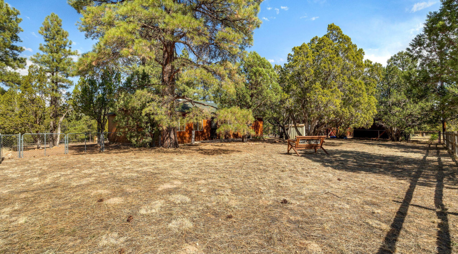 1919TwinPinesTrail-Heber-AZ-35