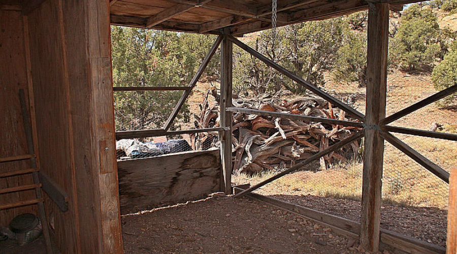 Chicken Coop