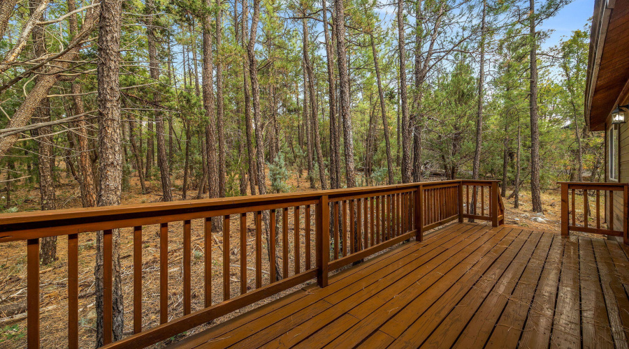 rear deck to the woods