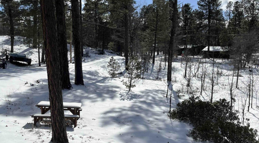 Snow Driveway