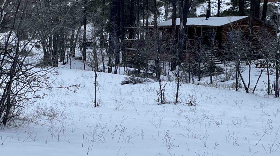 Snow from Navajo