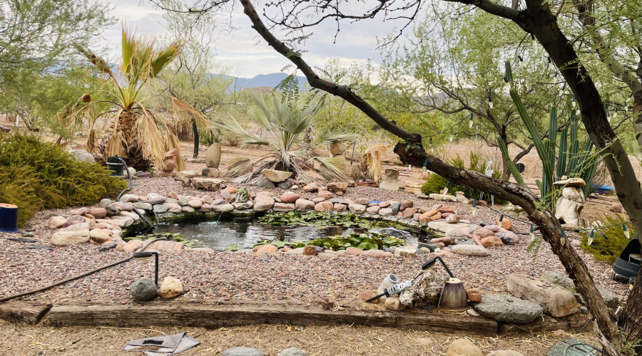 Koi Pond