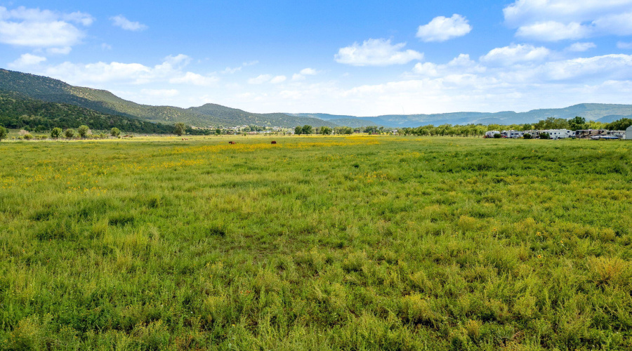 Parcel10423004B-Springerville-AZ-10