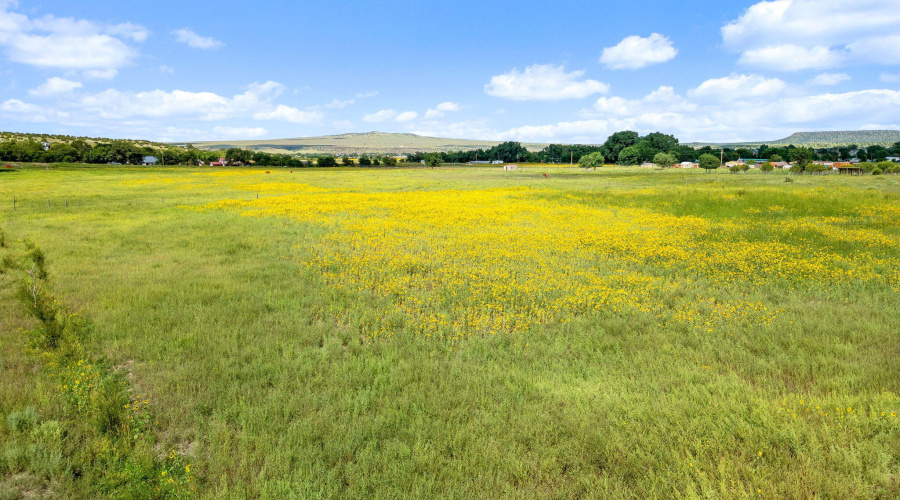 Parcel10423004B-Springerville-AZ-8