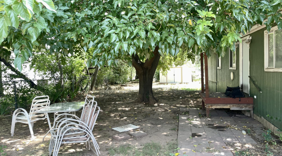 Cool shady fenced yard