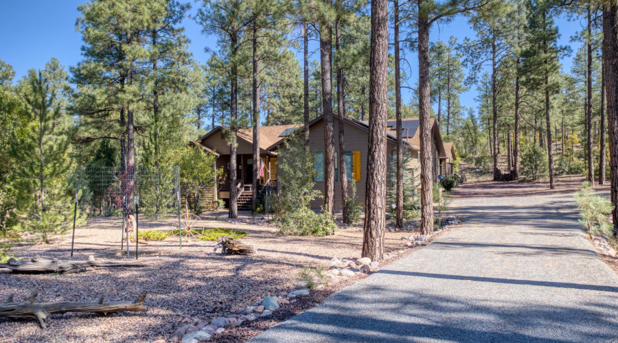 Forest Cabin, Peaceful Heart