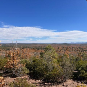 2.00 acres with incredible views