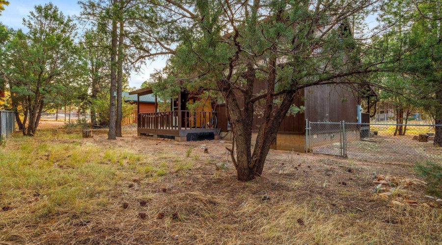 2883MarkhamRd-Heber-AZ-25