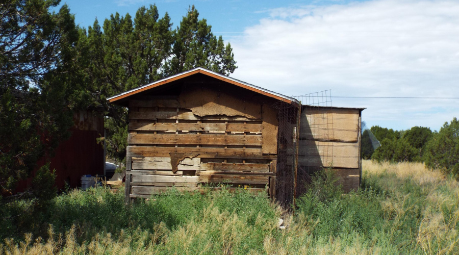 Chicken coop