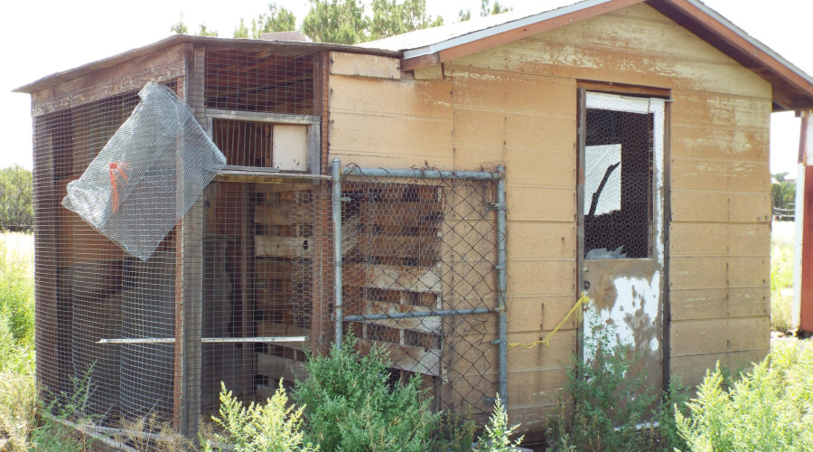 Chicken coop