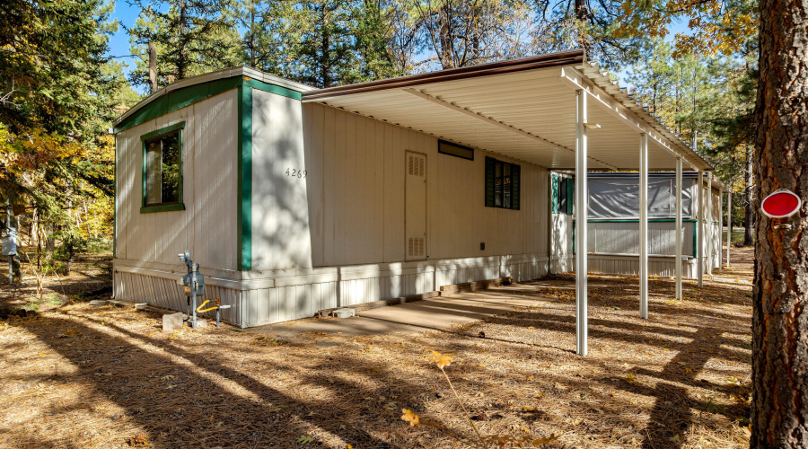 4269MarkTwainDr-Pinetop-AZ-4