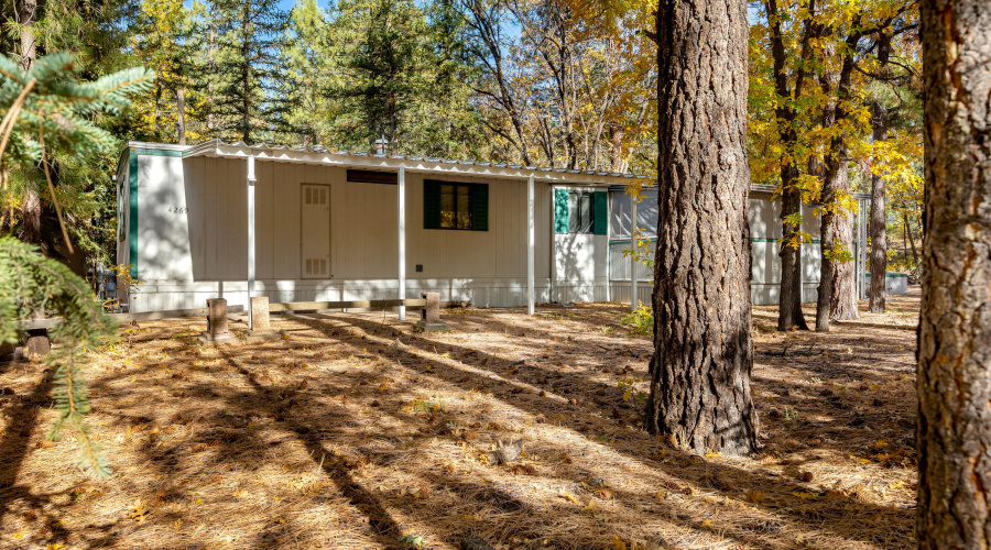 4269MarkTwainDr-Pinetop-AZ-3