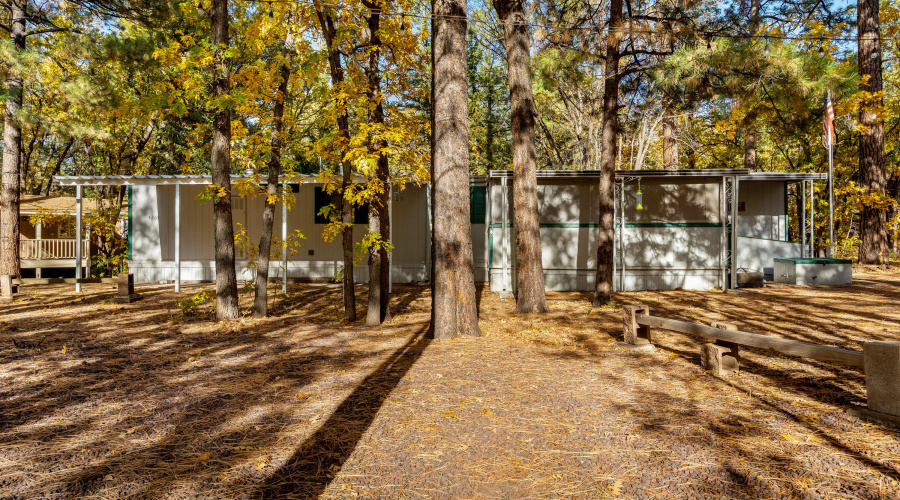 4269MarkTwainDr-Pinetop-AZ-2