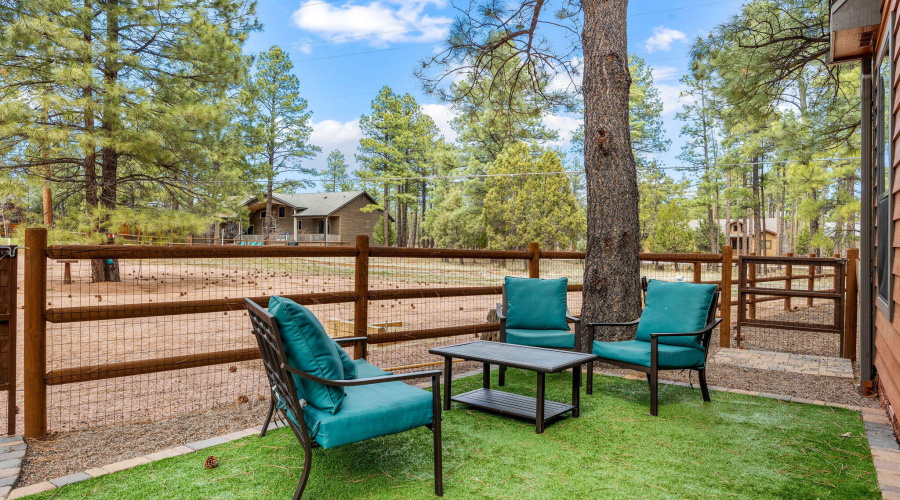 Seating area in Backyard