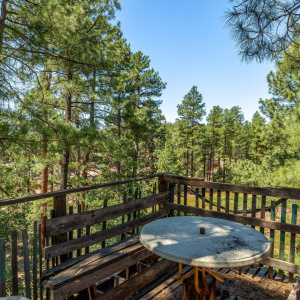 3207SWhiteMountainRd-ShowLow-AZ-5