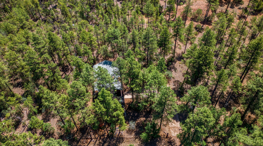 3207SWhiteMountainRd-ShowLow-AZ-29