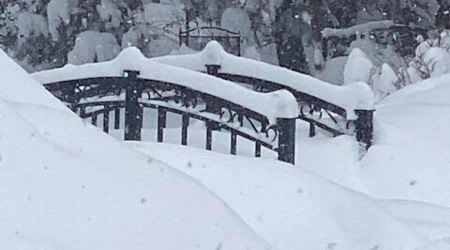 Bridge in snow