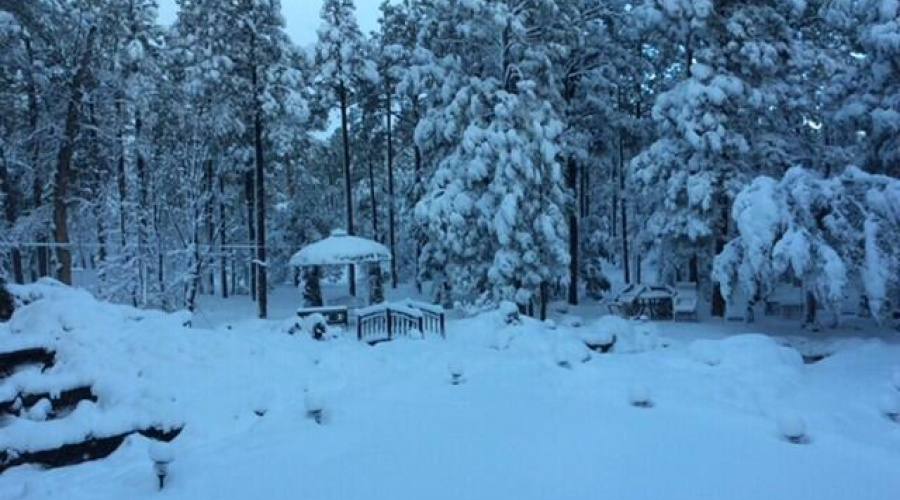 Backyard snow