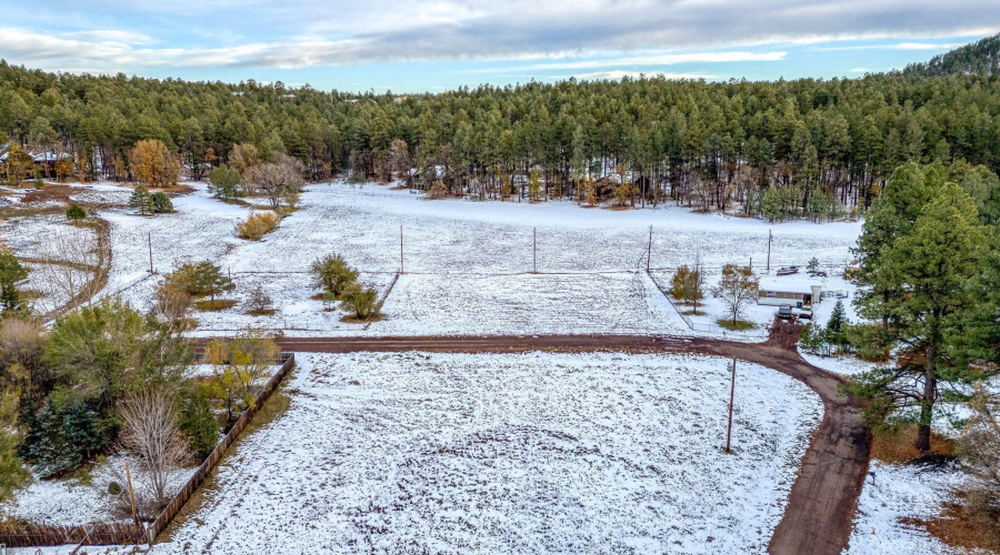 2445SJanLN-Pinetop-AZ-10