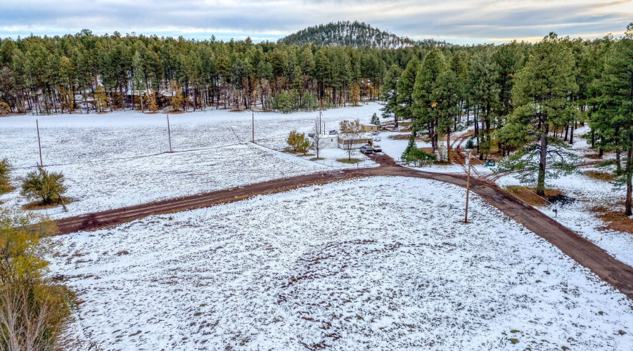 2445SJanLN-Pinetop-AZ-11